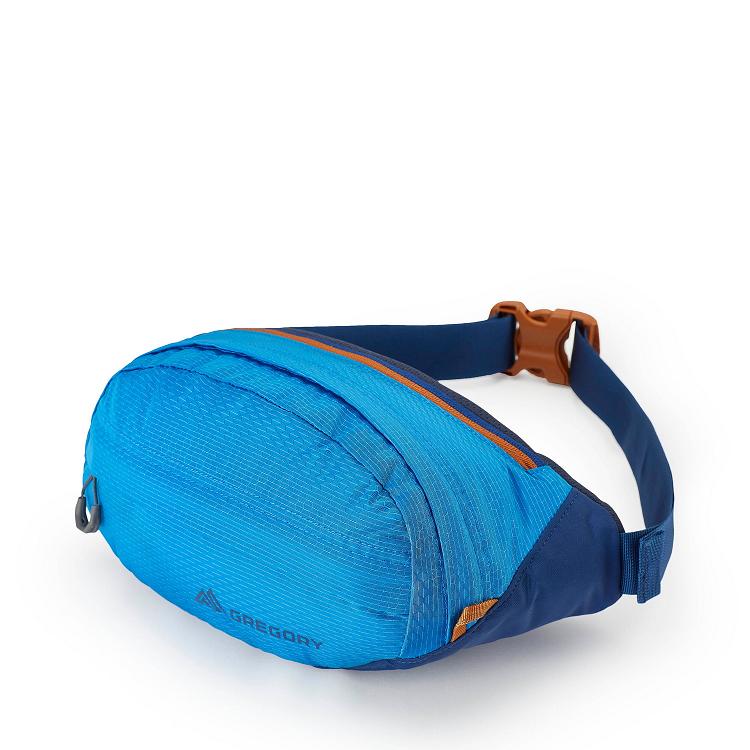 Gregory Nano Waistpack Men Blue Ireland 0137ECDKW